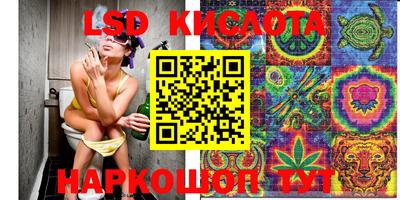 ALPHA PVP Бийск
